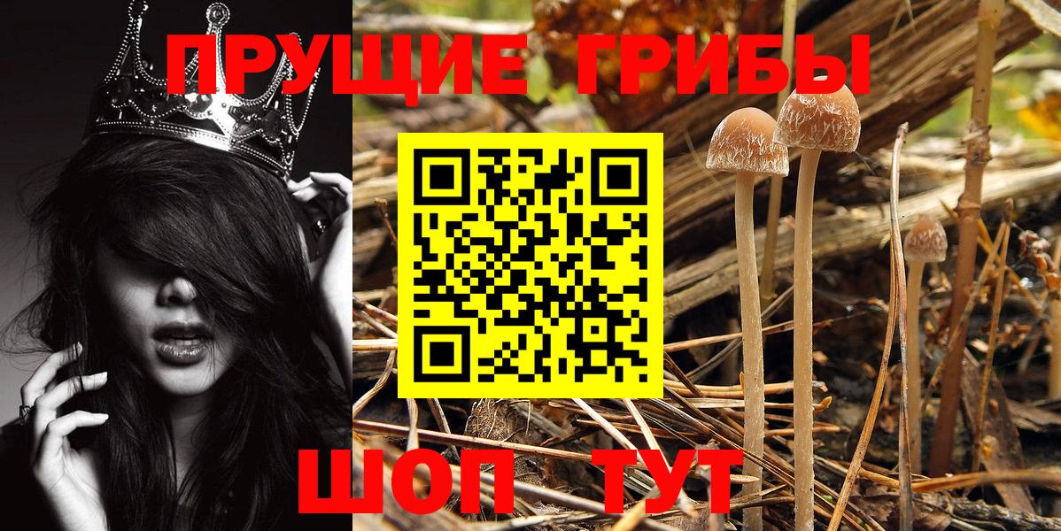 Псилоцибиновые грибы мухоморы Нижнеудинск