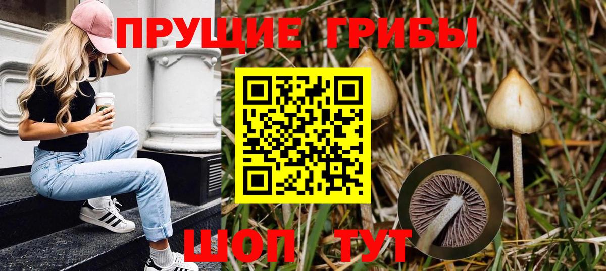 Нижнеудинск  Псилоцибиновые грибы Psilocybe  Вход с VPN 